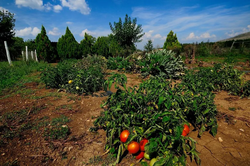 Bed & Breakfast Domaine De Majastre Bed and Breakfast Bauduen